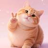 胖橘猫头像