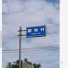 谢楼携手天涯头像