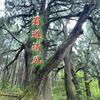 蜀道清风头像