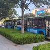 滨城Bus观头像