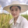 渝妹儿扎根赣乡（丁利）头像