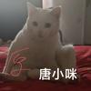 阿咪（GOREBOX）头像