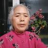 瞭望头像