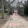 月下书韵头像
