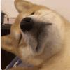 邪道子头像