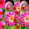 s头像