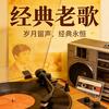 财哥5z5p头像