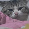 小委屈头像