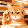 橘猫识堂头像