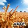 鼠九头像