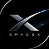 SpaceX头像