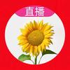 華東哥头像