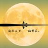 老金的凡人歌头像