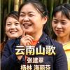 春意山歌头像