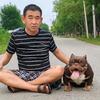 东哥家恶霸犬（瞧犬子宫蓄脓）头像