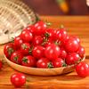 🍅头像