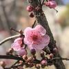 山野漫记头像
