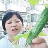 平安如意头像