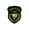 勇振少年军校李老师头像