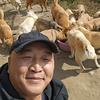 跟着辉哥去喂狗🐶头像