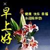 本机头像
