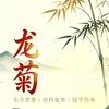 龙菊头像