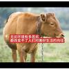 闵哥爱满仓🔥头像