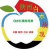 白水红嘎啦苹果头像