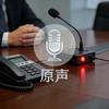 电话路演会议原声库头像
