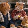 橘猫一家头像