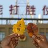 山河档案头像