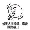 &大智若愚&(◍•ᴗ•◍)头像