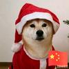 灿烂阳光头像