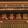 妙现头像