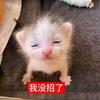 @稿纸头像