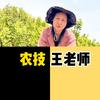 农艺师王老师（孟州华丰种衣剂）头像