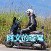 电鳗阿文的苍穹头像