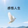 爱你宝宝巴士头像