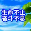 山河叙语头像