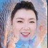 红玫瑰头像