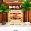 槟榔批发总仓头像