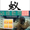 彻底灭治白蚁头像