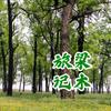 梁木旅记头像
