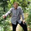 木森头像