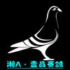 🏆湘A·壹品赛鸽🏆头像
