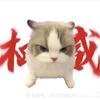 城北徐公™头像