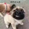 我要反三俗头像
