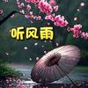 听风雨头像