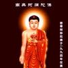 乔吉阳头像