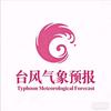 typhoon-气象预报头像